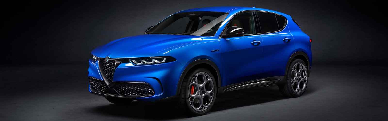 Massimizza le Performance della tua Alfa Romeo Tonale 1.6 vgt-d 130 cv con la Rimappatura Centralina