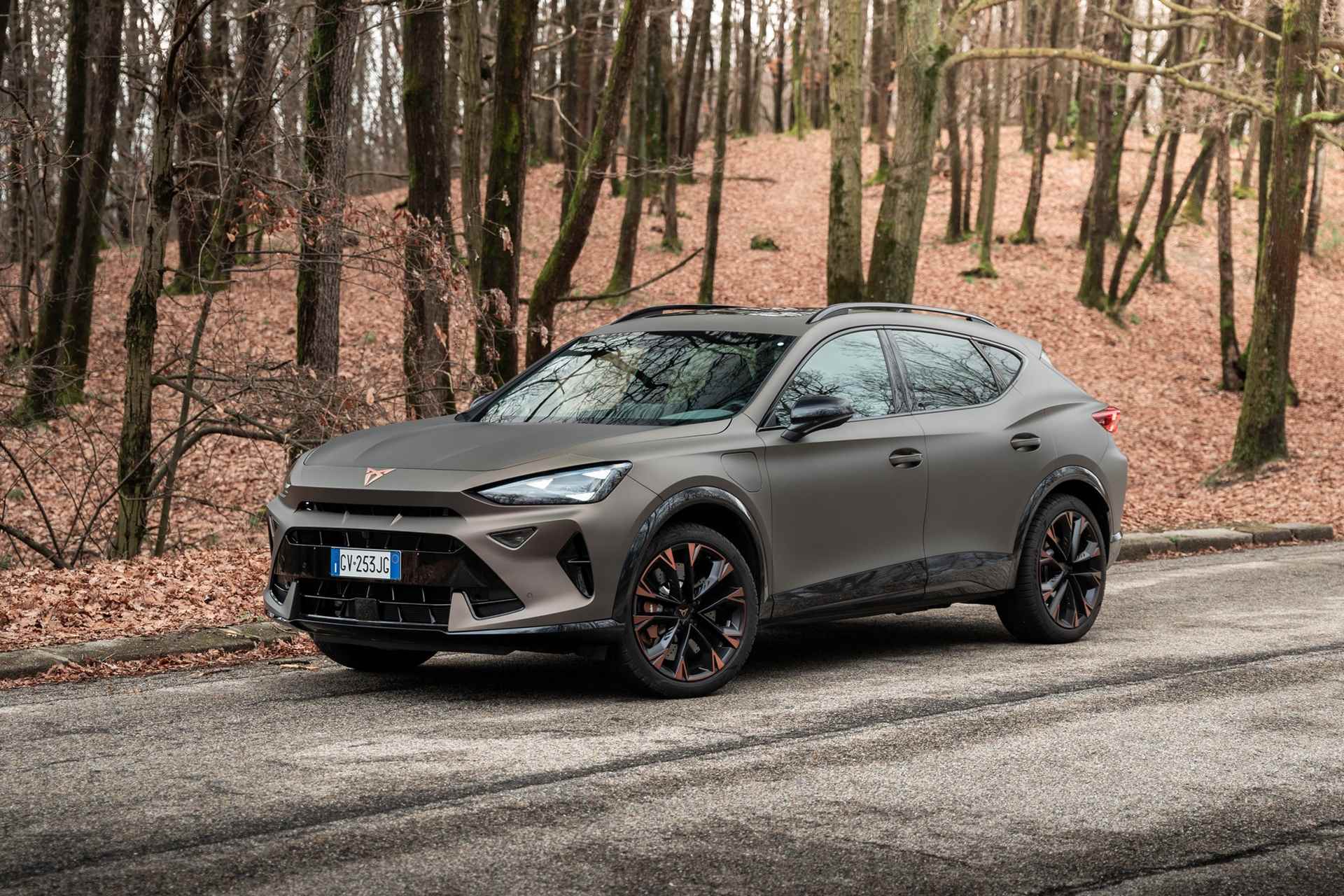 Tuning Cupra Formentor Leon Ateca rimappatura centralina TSI aumento cavalli DSG